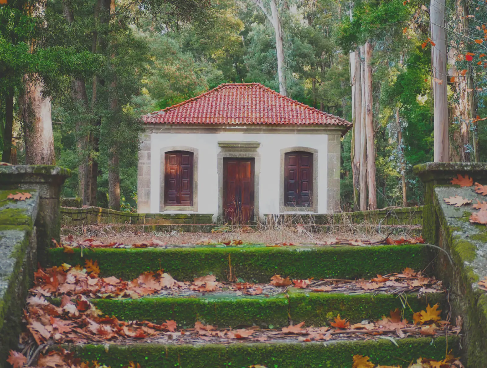 Historic gardens of Mosteiro de Landim — 6